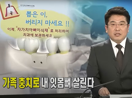 채널A 뉴스